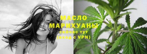 стаф Вязьма