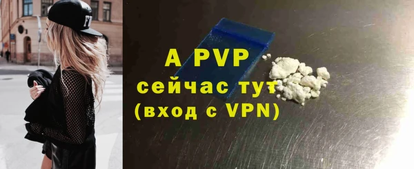стаф Вязьма