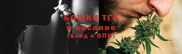 стаф Вязьма