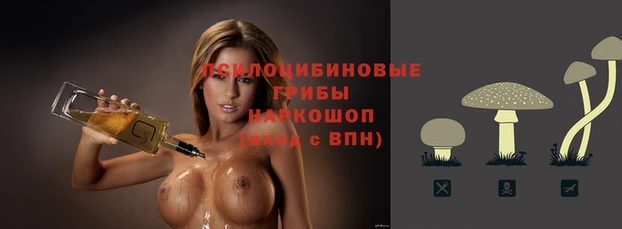 гидропоника Вязники