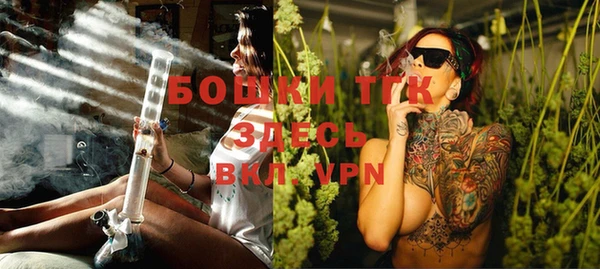 стаф Вязьма