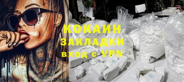 стаф Вязьма