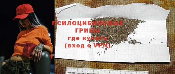 стаф Вязьма