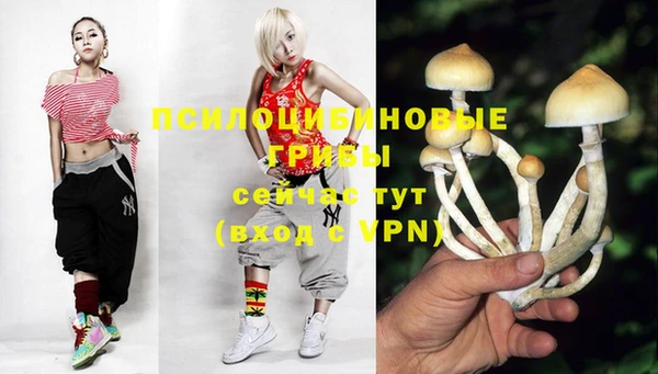 гидропоника Вязники