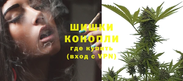 стаф Вязьма